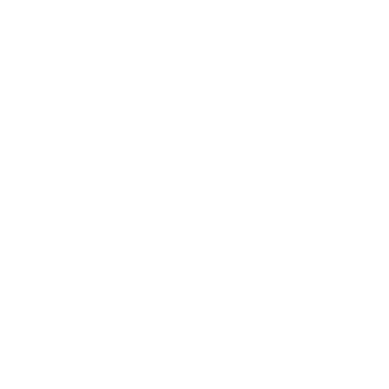 pasagero_icon_weiss_transparent_square(1)